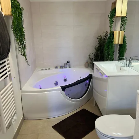 Apartamento Le Somptueux, Cosy / Balneo *