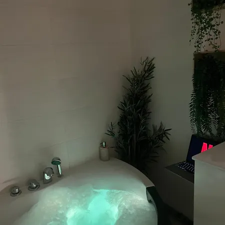 Daire Le Somptueux, Cosy / Balneo *
