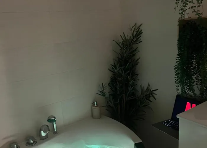 Apartamento Le Somptueux, Cosy / Balneo *